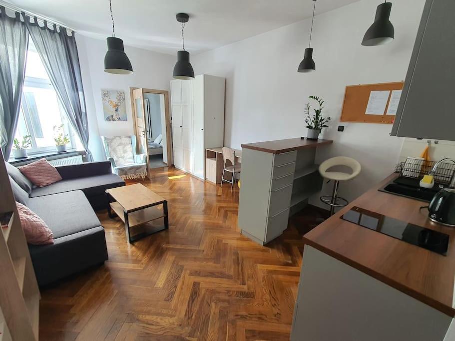 Apartament Przy Szkole Filmowej, Darmowy Parking Łódź Zewnętrze zdjęcie