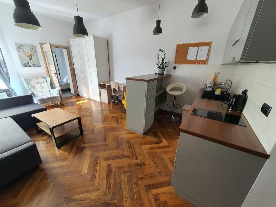 Apartament Przy Szkole Filmowej, Darmowy Parking Łódź Zewnętrze zdjęcie